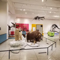 New Jersey State Museum - Trenton