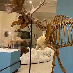 New Jersey State Museum - Trenton