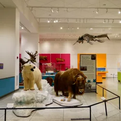 New Jersey State Museum - Trenton