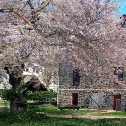 Old Barracks Museum - Trenton