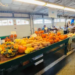 Trenton Farmers Market - Trenton