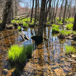 Somerset County Environmental Education Center - Warren