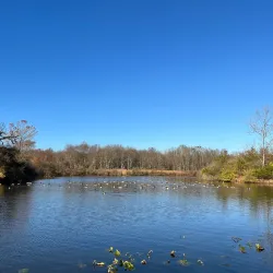 Somerset County Environmental Education Center - Warren