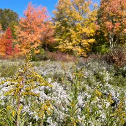 Somerset County Environmental Education Center - Warren