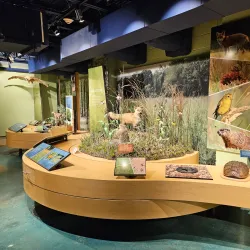 Somerset County Environmental Education Center - Warren