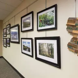 The Warren Township Library - Warren