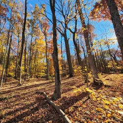Washington Valley Park - Warren