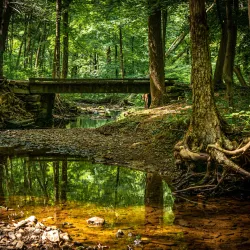 Watchung Reservation - Warren