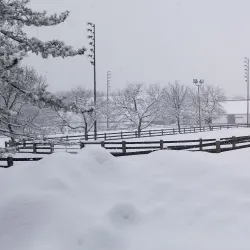 Watchung Stables - Warren