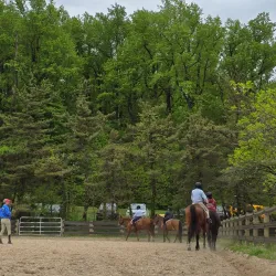 Watchung Stables - Warren