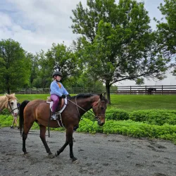 Watchung Stables - Warren