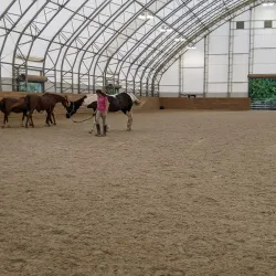 Watchung Stables - Warren