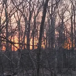 Essex County Environmental Center - West Caldwell