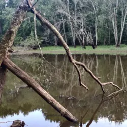 Essex County Environmental Center - West Caldwell
