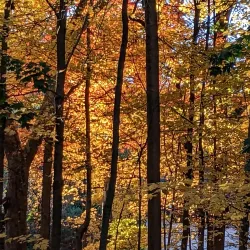 Grover Cleveland Park - West Caldwell