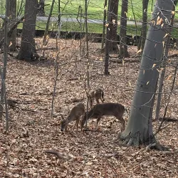 Grover Cleveland Park - West Caldwell