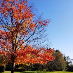 West Caldwell Community Center - West Caldwell