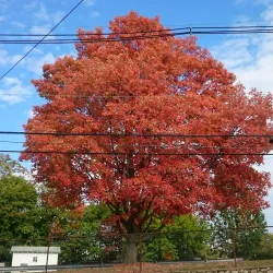 West Caldwell Community Center - West Caldwell