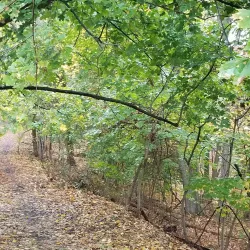 West Essex Trail - West Caldwell