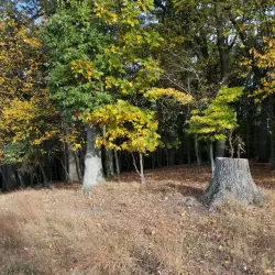 West Essex Trail - West Caldwell