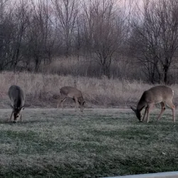 Riverwinds Community Center - West Deptford
