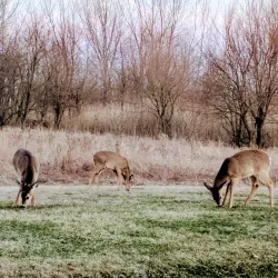 Riverwinds Golf Club - West Deptford