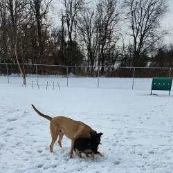 Thompson Park - West Deptford