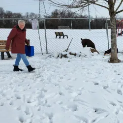 Thompson Park - West Deptford