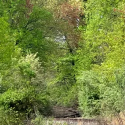 West Deptford Park - West Deptford