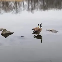 James J. Braddock North Hudson County Park - West New York