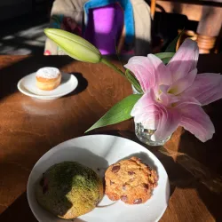 Local Eateries and Cafes on Bergenline Avenue - West New York