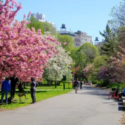 Riverside Park - West New York