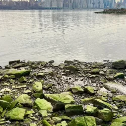 West New York Waterfront Park - West New York