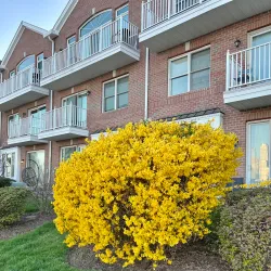 West New York Waterfront Park - West New York