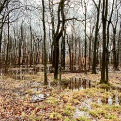 South Mountain Dog Park - West Orange