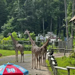 South Mountain Reservation - West Orange