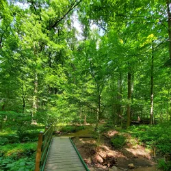 South Mountain Reservation - West Orange