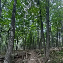 South Mountain Reservation - West Orange