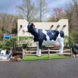 South Mountain Reservation - West Orange