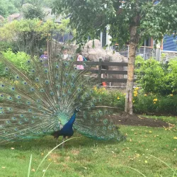 Turtle Back Zoo - West Orange