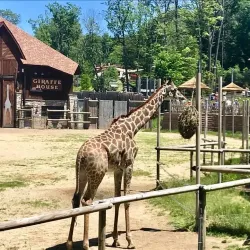 Turtle Back Zoo - West Orange