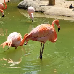 Turtle Back Zoo - West Orange