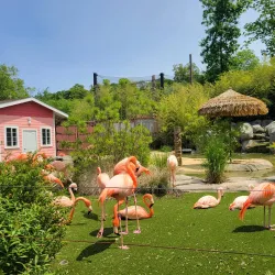 Turtle Back Zoo - West Orange