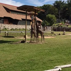 Turtle Back Zoo - West Orange