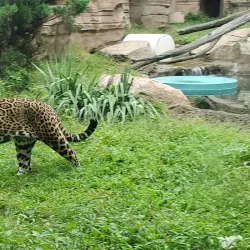 Turtle Back Zoo - West Orange