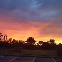 Fords Park - Woodbridge