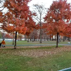 Fords Park - Woodbridge