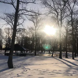 Fords Park - Woodbridge