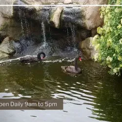 Alameda Park Zoo - Alamogordo