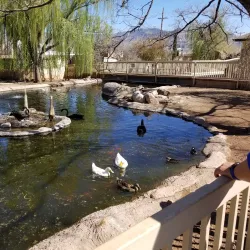 Alameda Park Zoo - Alamogordo